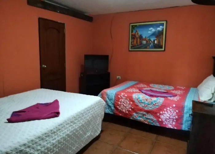 Hotel City Of Dreams Antigua